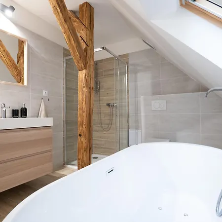 U Zlate Hvezdy Zeibich Apartment